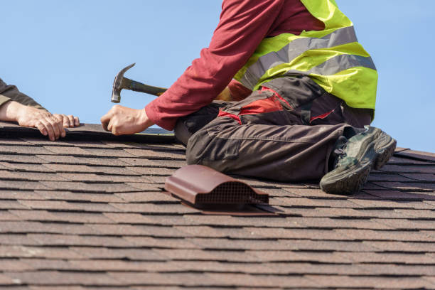 Best Roof Gutter Cleaning  in Larned, KS